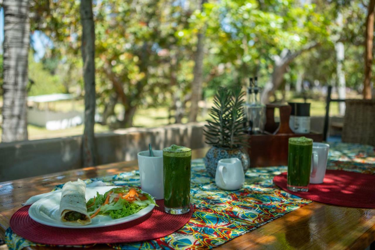 Praia do Tofo Turtle Cove Lodge And Yoga Shala מראה חיצוני תמונה