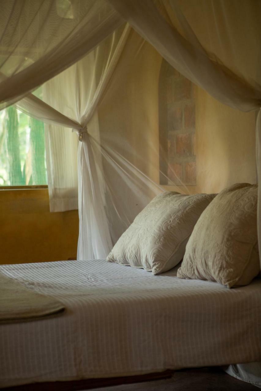 Praia do Tofo Turtle Cove Lodge And Yoga Shala מראה חיצוני תמונה