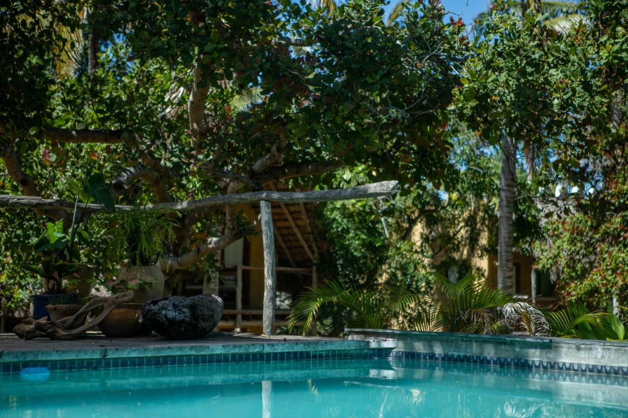 Praia do Tofo Turtle Cove Lodge And Yoga Shala מראה חיצוני תמונה