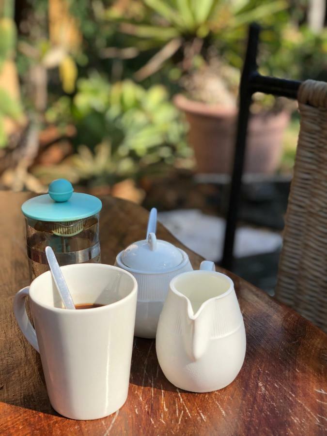 Praia do Tofo Turtle Cove Lodge And Yoga Shala מראה חיצוני תמונה