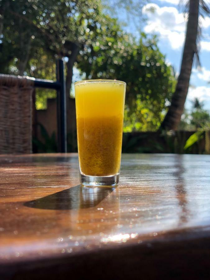 Praia do Tofo Turtle Cove Lodge And Yoga Shala מראה חיצוני תמונה