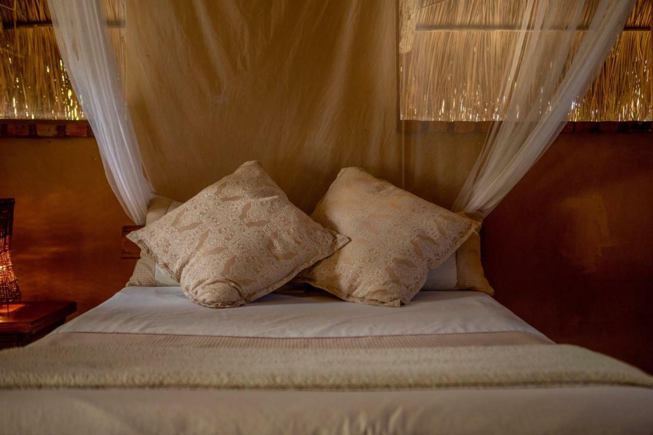 Praia do Tofo Turtle Cove Lodge And Yoga Shala מראה חיצוני תמונה